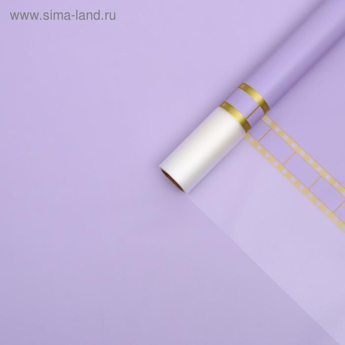 Пленка для цветов "Кинофильм", лиловый, 0,58 х 10 м
Пленка для цветов "Кинофильм", лиловый, 0,58 х 10 м