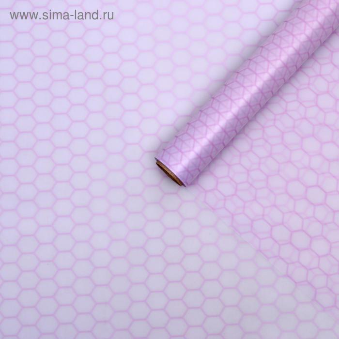Пленка для цветов "Соты", сиреневый, 0,58 х 10 м
Пленка для цветов "Соты", сиреневый, 0,58 х 10 м