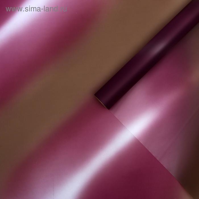 Пленка для цветов "Переход" серый, 0,58 х 10 м
Пленка для цветов "Переход" серый, 0,58 х 10 м