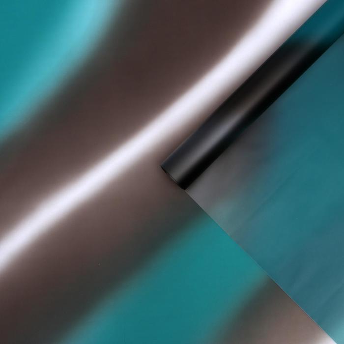 Пленка для цветов "Переход" черный, 0,58 х 10 м
Пленка для цветов "Переход" черный, 0,58 х 10 м