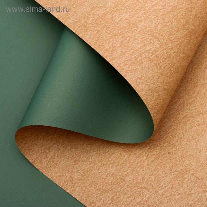 Плёнка матовая двухсторонняя "Пробковый цвет" мятный, 0,58 х 10 м
Плёнка матовая двухсторонняя "Пробковый цвет" мятный, 0,58 х 10 м