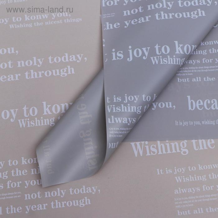 Плёнка матовая двухсторонняя "Послание" серебристый, 0,58 х 0,58 м
Плёнка матовая двухсторонняя "Послание" серебристый, 0,58 х 0,58 м