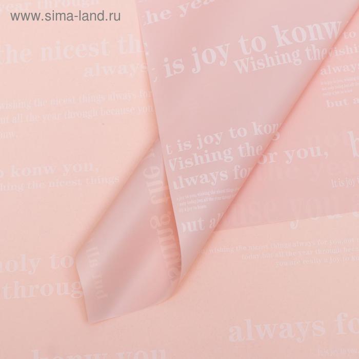 Плёнка матовая двухсторонняя "Послание" пудра, 0,58 х 0,58 м
Плёнка матовая двухсторонняя "Послание" пудра, 0,58 х 0,58 м