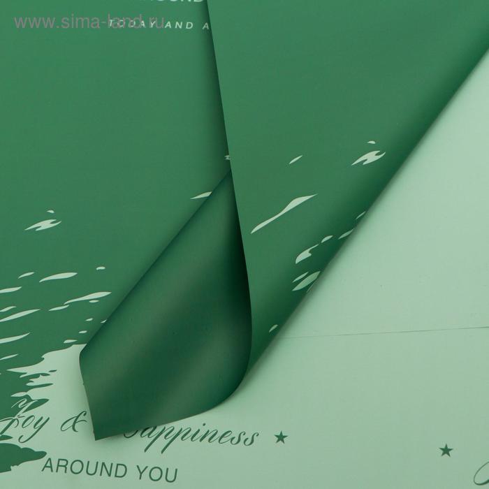 Плёнка матовая двухсторонняя "Счастье вокруг" зелёный, 0,58 х 0,58 м
Плёнка матовая двухсторонняя "Счастье вокруг" зелёный, 0,58 х 0,58 м