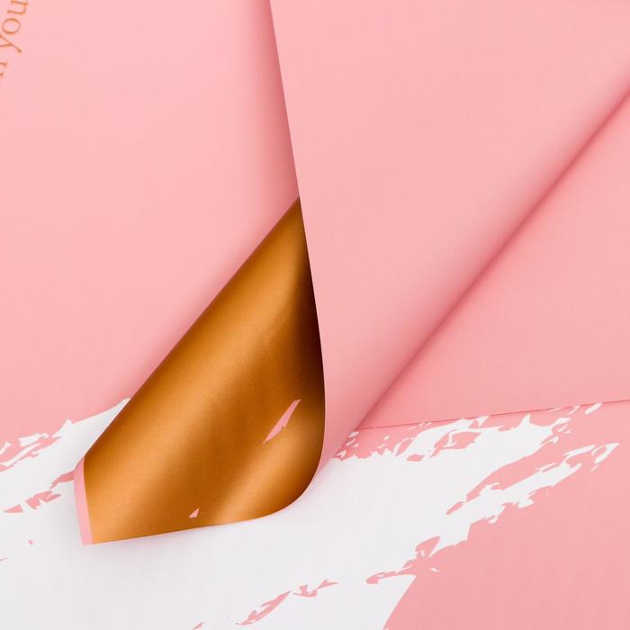 Плёнка матовая "Краски" чайная роза, 0,58 х 0,58 м
Плёнка матовая "Краски" чайная роза, 0,58 х 0,58 м