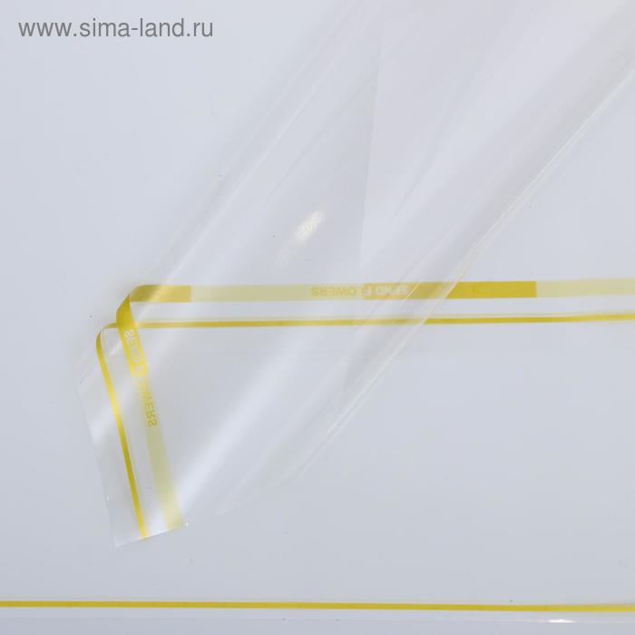 Пленка для декора и флористики, "Прозрачная" золотистая, без рисунка, универсальная, лист 1шт., 0,58 х 0,58 м
Пленка для декора и флористики, "Прозрачная" золотистая, без рисунка, универсальная, лист 1шт., 0,58 х 0,58 м