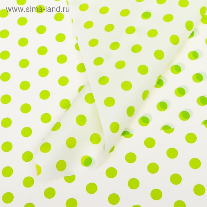 Пленка матовая "Крупный горох" белый, зеленый, 0,58 х 0,58 м
Пленка матовая "Крупный горох" белый, зеленый, 0,58 х 0,58 м
