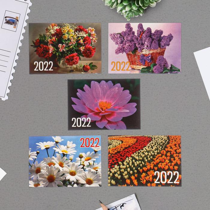 Карманный календарь "Цветы - 2" 2022 год, 7 х 10 см, МИКС
Карманный календарь "Цветы - 2" 2022 год, 7 х 10 см, МИКС