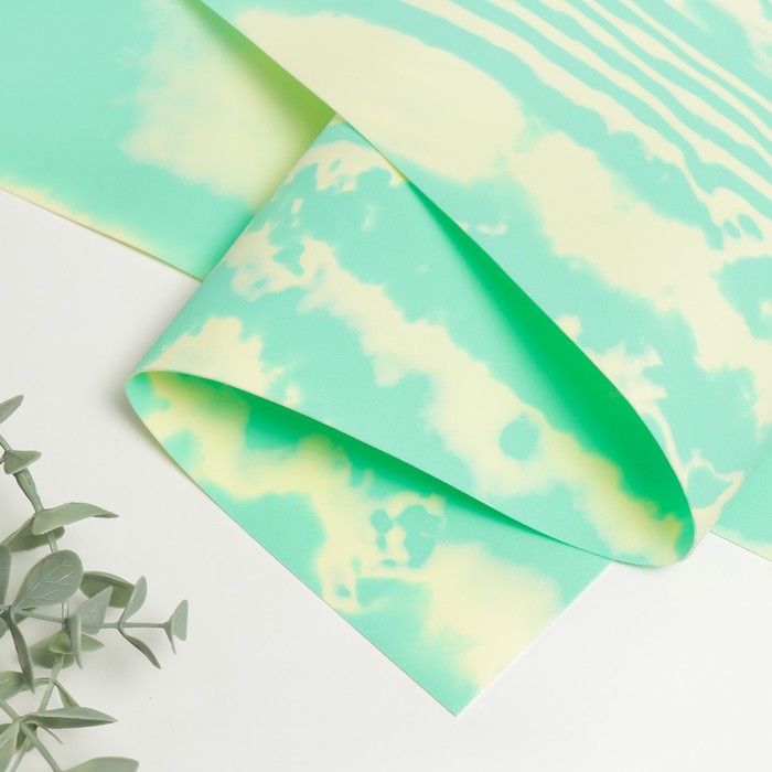 Фоамиран двухцветный 0,8 мм мятный/лимонный 60х70 см
Фоамиран двухцветный 0,8 мм мятный/лимонный 60х70 см