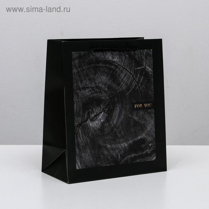 Пакет подарочный ламинированный вертикальный, упаковка, Wood style, ML 23 х 27 х 11,5 см
Пакет подарочный ламинированный вертикальный, упаковка, Wood style, ML 23 х 27 х 11,5 см