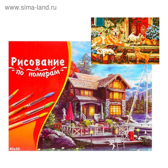 Палитра. Холст с красками 40х50 см по номерам в кор. «Ретриверы на крыльце»
Палитра. Холст с красками 40х50 см по номерам в кор. «Ретриверы на крыльце»