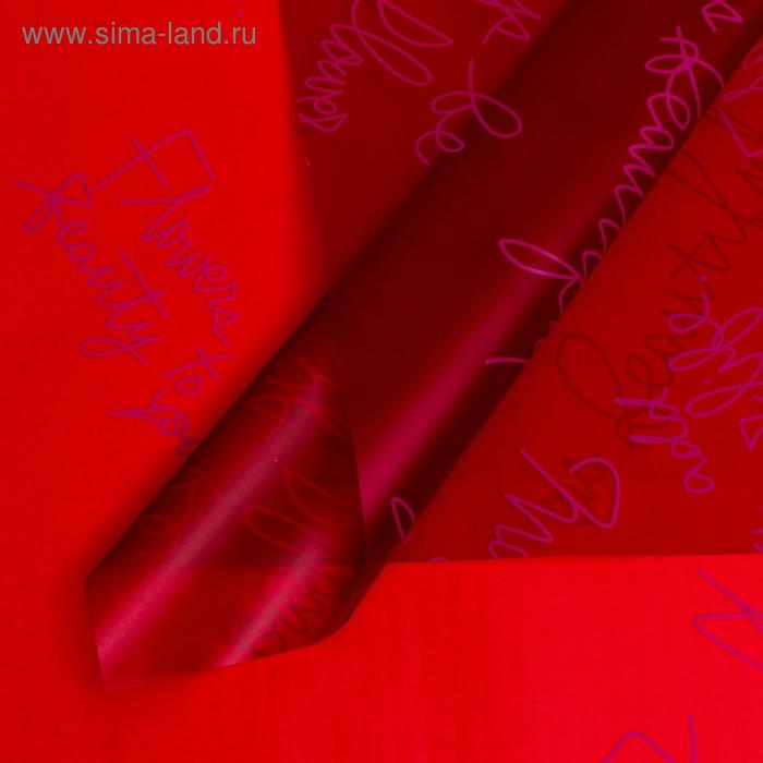 Плёнка матовая двухсторонняя "Почерк" винный, 0,58 х 0,58 м
Плёнка матовая двухсторонняя "Почерк" винный, 0,58 х 0,58 м