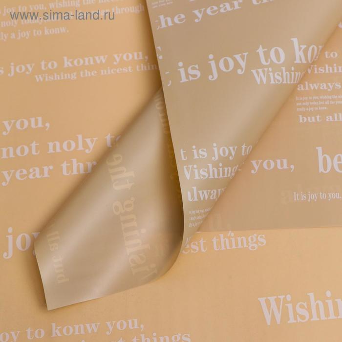 Плёнка матовая двухсторонняя "Послание" бежевый, 0,58 х 0,58 м
Плёнка матовая двухсторонняя "Послание" бежевый, 0,58 х 0,58 м
