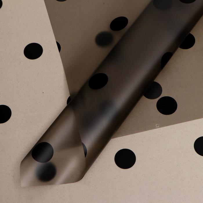 Плёнка матовая "Горох чёрный" 0,58 х 0,58 м
Плёнка матовая "Горох чёрный" 0,58 х 0,58 м