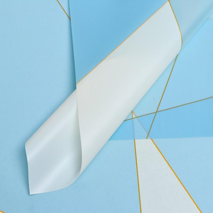 Плёнка матовая "Геометрия" голубой, 0,58 х 0,58 м
Плёнка матовая "Геометрия" голубой, 0,58 х 0,58 м