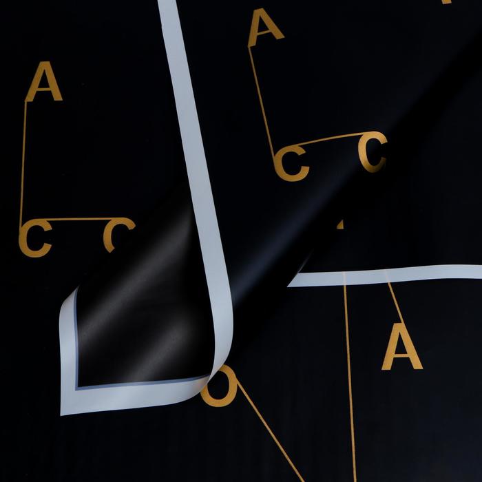 Плёнка матовая "Золотые буквы" чёрный, 0,58 х 0,58 м
Плёнка матовая "Золотые буквы" чёрный, 0,58 х 0,58 м