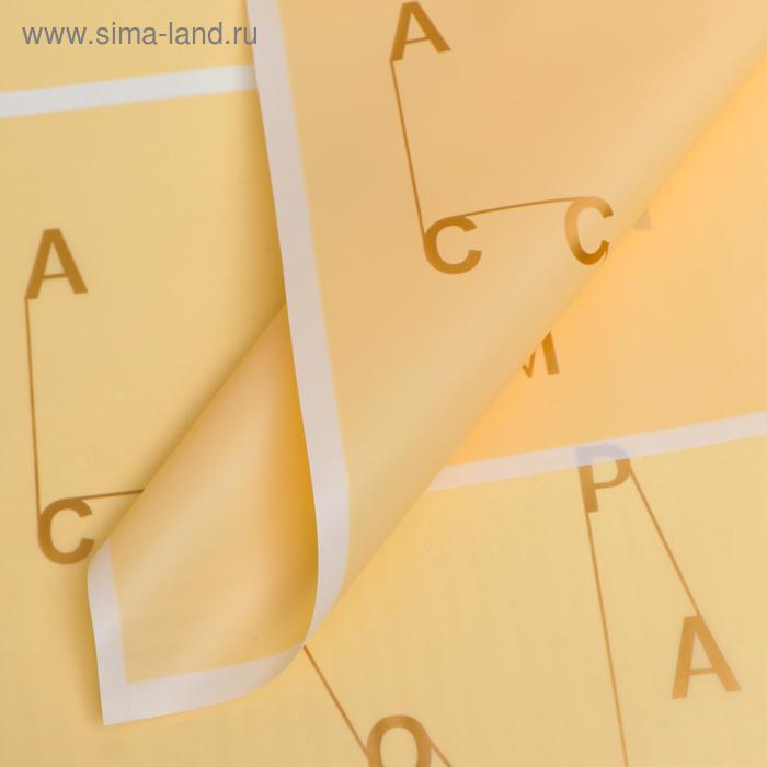 Плёнка матовая "Золотые буквы" жёлтый, 0,58 х 0,58 м 
Плёнка матовая "Золотые буквы" жёлтый, 0,58 х 0,58 м