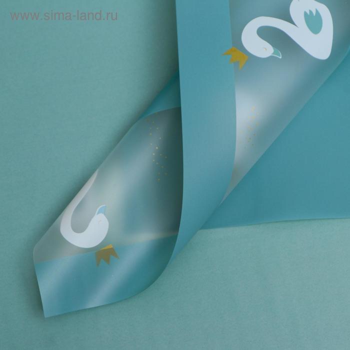 Плёнка матовая "Лебедь на бирюзовом", 0,58 х 0,58 м
Плёнка матовая "Лебедь на бирюзовом", 0,58 х 0,58 м