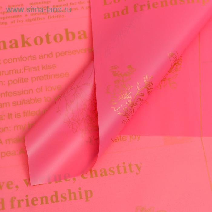 Плёнка матовая "Флористическая статья" красный, 0,58 х 0,58 м
Плёнка матовая "Флористическая статья" красный, 0,58 х 0,58 м