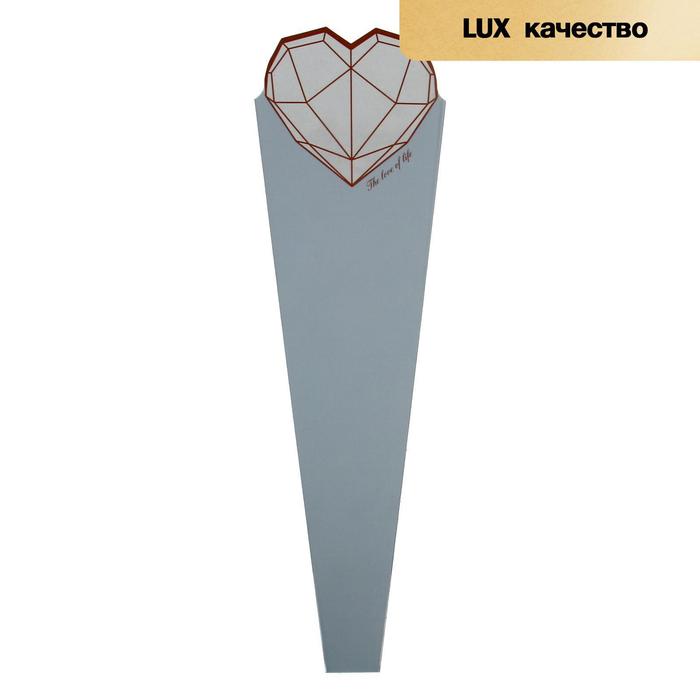 Конус для цветов, серый, 60 х 15 см
Конус для цветов, серый, 60 х 15 см