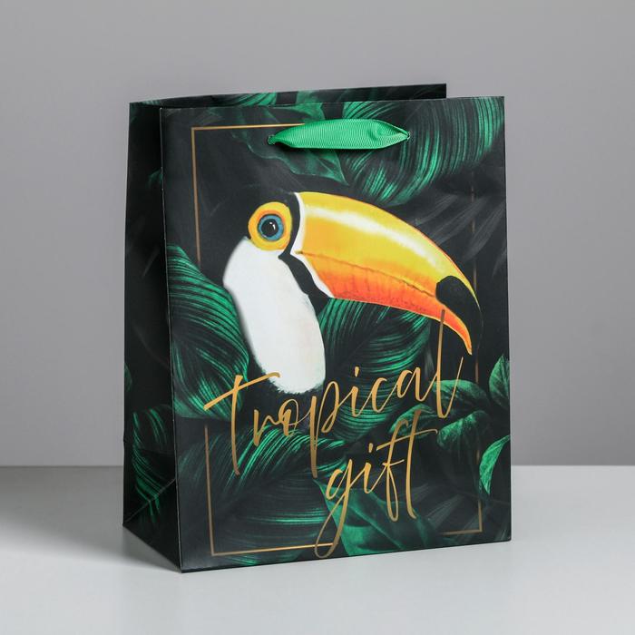Пакет ламинированный вертикальный Tropical gift, MS 18 × 23 × 10 см 
Пакет ламинированный вертикальный Tropical gift, MS 18 × 23 × 10 см