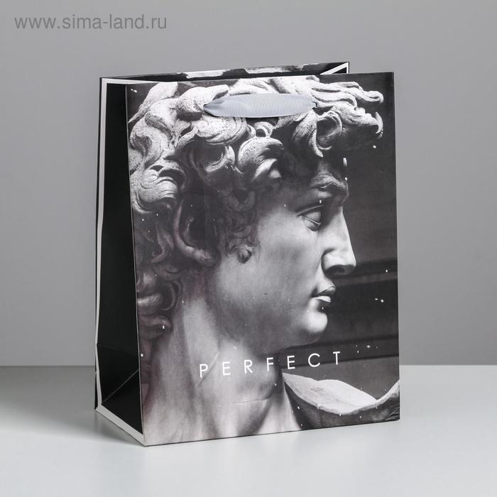 Пакет ламинированный вертикальный Perfect, MS 18 × 23 × 10 см 
Пакет ламинированный вертикальный Perfect, MS 18 × 23 × 10 см