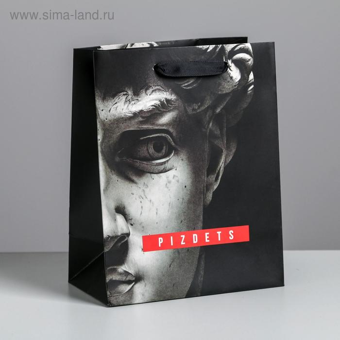 Пакет ламинированный вертикальный Pizdets, MS 18 × 23 × 10 см
Пакет ламинированный вертикальный Pizdets, MS 18 × 23 × 10 см