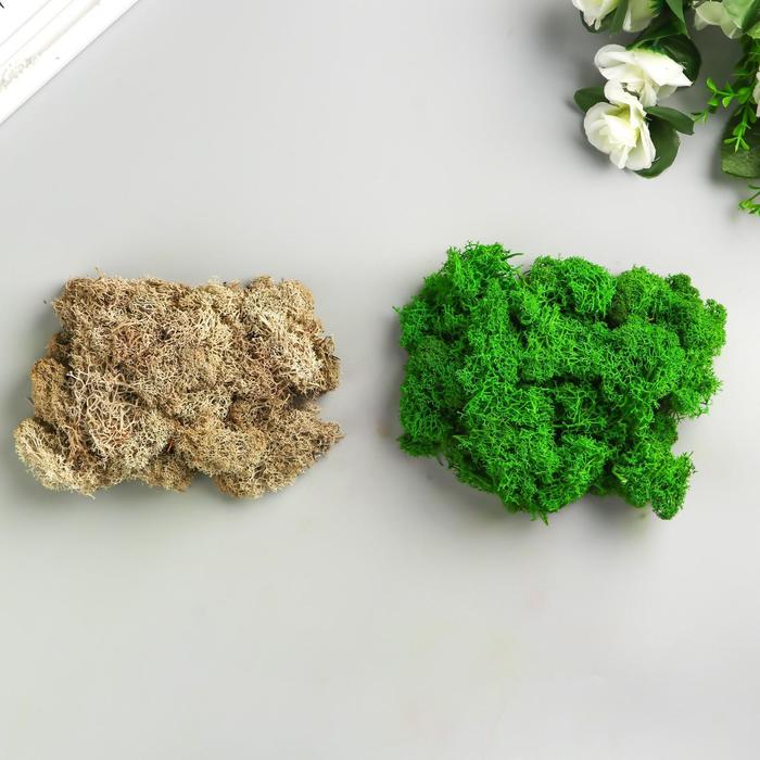 Набор мха стабилизированный 2 в 1 "Зелёный и белый " 95 гр (+-5 гр).
Набор мха стабилизированный 2 в 1 "Зелёный и белый " 95 гр (+-5 гр).