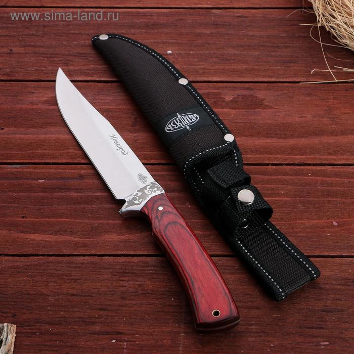 Нож охотничий "Новгород" сталь - 40х13, рукоять - бакелит, 27 см 
Нож охотничий "Новгород" сталь - 40х13, рукоять - бакелит, 27 см