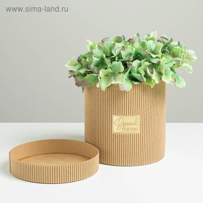 Коробка подарочная шляпная из микрогофры, упаковка, «Special for you», 15 х 15 см
Коробка подарочная шляпная из микрогофры, упаковка, «Special for you», 15 х 15 см
