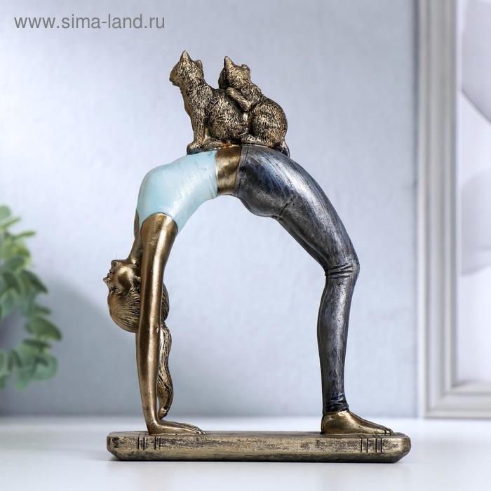 Сувенир полистоун "Девушка в позе колеса, с кошками" синий 18,5х13х6,8 см
Сувенир полистоун "Девушка в позе колеса, с кошками" синий 18,5х13х6,8 см