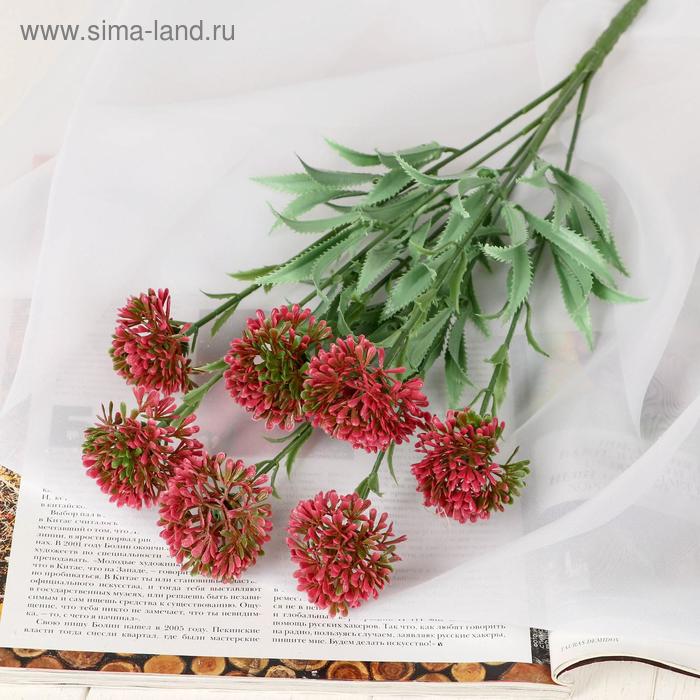 Букет "Гемантус" 40 см микс
Букет "Гемантус" 40 см микс