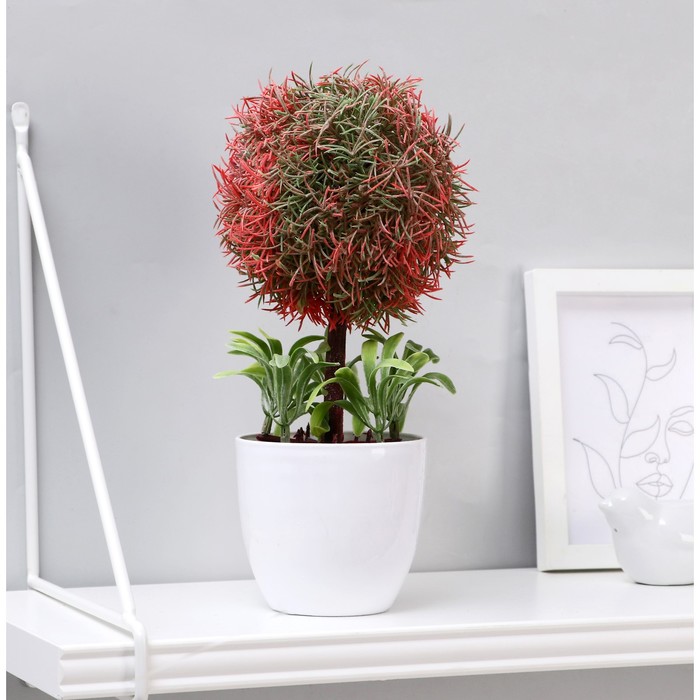 Бонсай "Травяное дерево" 10х24 см микс
Бонсай "Травяное дерево" 10х24 см микс