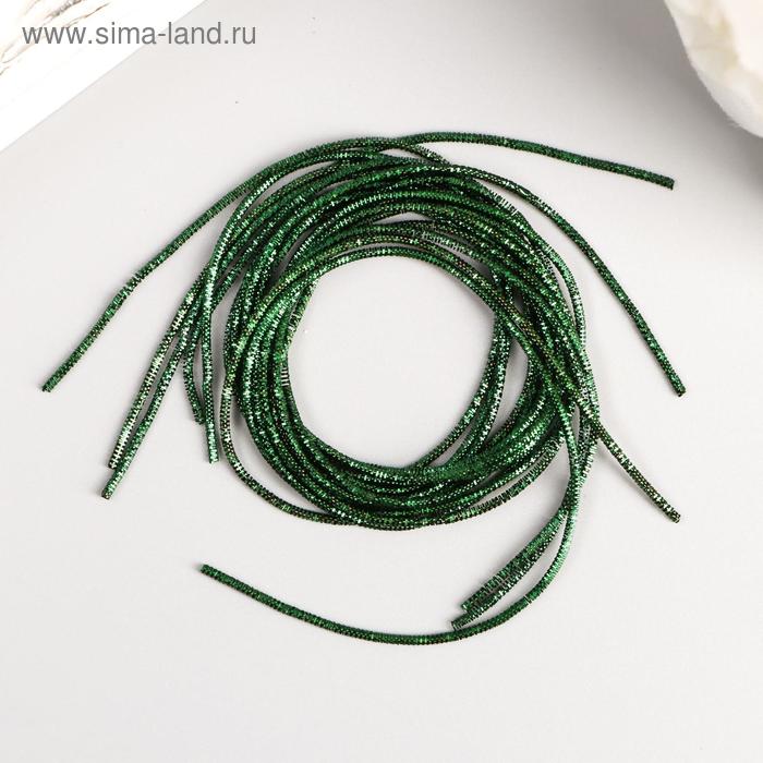 Канитель (трунцал) мягкая, фигурная 1 мм , глянец, ярко- зеленый 5 гр 
Канитель (трунцал) мягкая, фигурная 1 мм , глянец, ярко- зеленый 5 гр