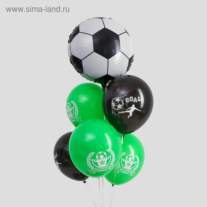 Набор шаров "Чемпион", в наборе 6 шт.
Набор шаров "Чемпион", в наборе 6 шт.