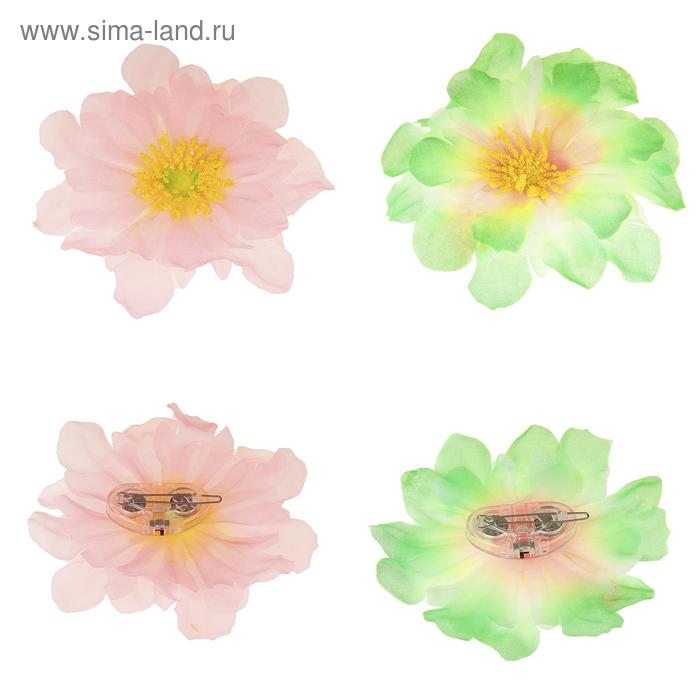 фото Зажим световой "иберис", цвета микс