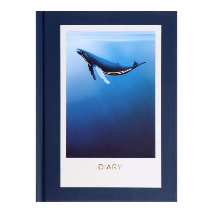 Ежедневник недатированный А6+, 112 листов, "Глубина", твёрдая обложка, матовая ламинация, тиснение фольгой, блок 70г/м2
Ежедневник недатированный А6+, 112 листов, "Глубина", твёрдая обложка, матовая ламинация, тиснение фольгой, блок 70г/м2