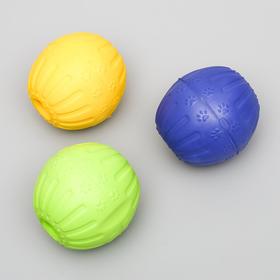 Мяч из EVA для дрессировки 9 см, микс цветов
Мяч из EVA для дрессировки 9 см, микс цветов
