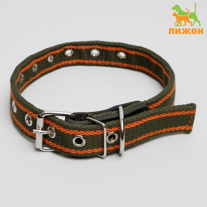 Ошейник брезентовый щенячий двухслойный, 58 х 2,5 см, ОШ 28-51 см, хаки/оранжевый
Ошейник брезентовый щенячий двухслойный, 58 х 2,5 см, ОШ 28-51 см, хаки/оранжевый