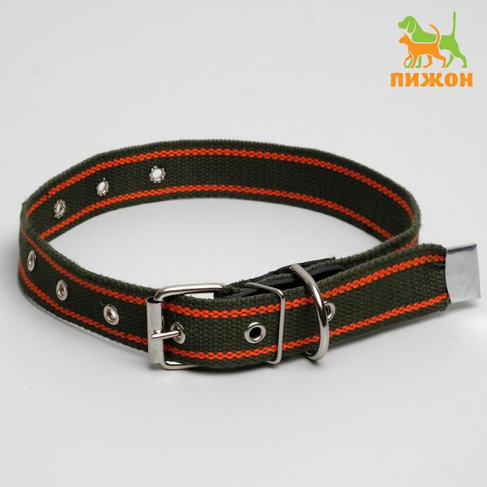 Ошейник брезентовый щенячий однослойный, 70 х 3 см, ОШ 32-66 см, хаки/оранжевый
Ошейник брезентовый щенячий однослойный, 70 х 3 см, ОШ 32-66 см, хаки/оранжевый
