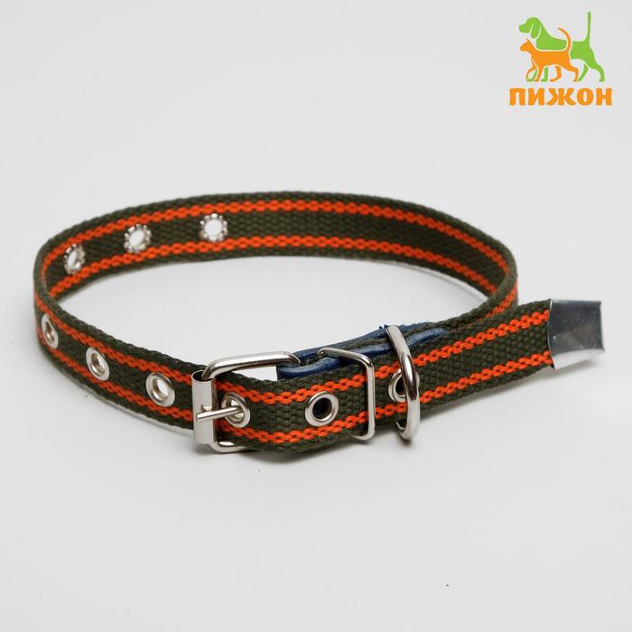 Ошейник брезентовый щенячий однослойный, 53 х 2 см, ОШ 25-47 см, хаки/оранжевый
Ошейник брезентовый щенячий однослойный, 53 х 2 см, ОШ 25-47 см, хаки/оранжевый