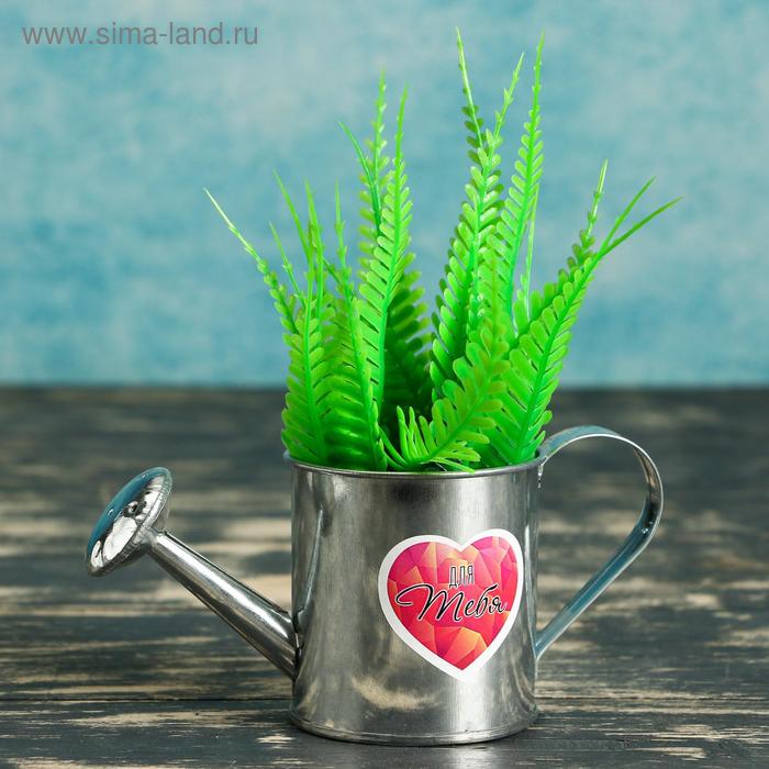 Кашпо-лейка "Для тебя" 14*6,5*6,5см
Кашпо-лейка "Для тебя" 14*6,5*6,5см