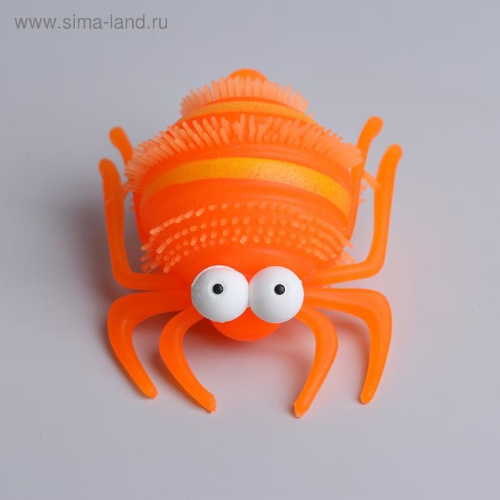 Ёжка «Паук», световой, цвета МИКС 
Ёжка «Паук», световой, цвета МИКС