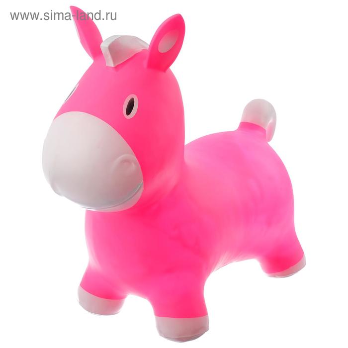 Попрыгун «Ослик», 52 х 59 х 25 см, вес 1300 г, цвета МИКС
Попрыгун «Ослик», 52 х 59 х 25 см, вес 1300 г, цвета МИКС