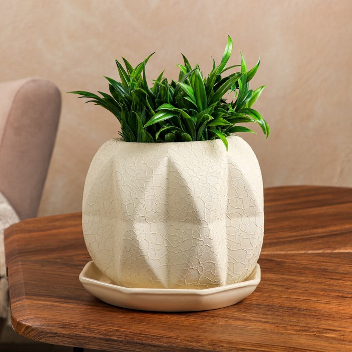 Горшок для цветов "Сфера", шёлк, цвет бежевый, керамика, 1.5 л
Горшок для цветов "Сфера", шёлк, цвет бежевый, керамика, 1.5 л