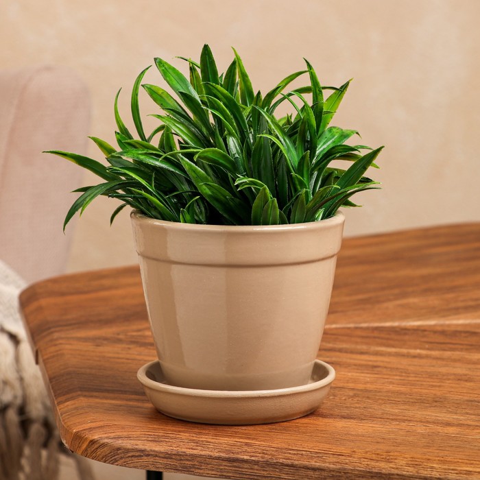 Горшок для цветов "Глория", глянец, капучино, керамика, 0.5 л
Горшок для цветов "Глория", глянец, капучино, керамика, 0.5 л