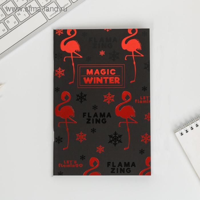 Тетрадь с чёрными листами Magic winter, А5, 32 листа
Тетрадь с чёрными листами Magic winter, А5, 32 листа
