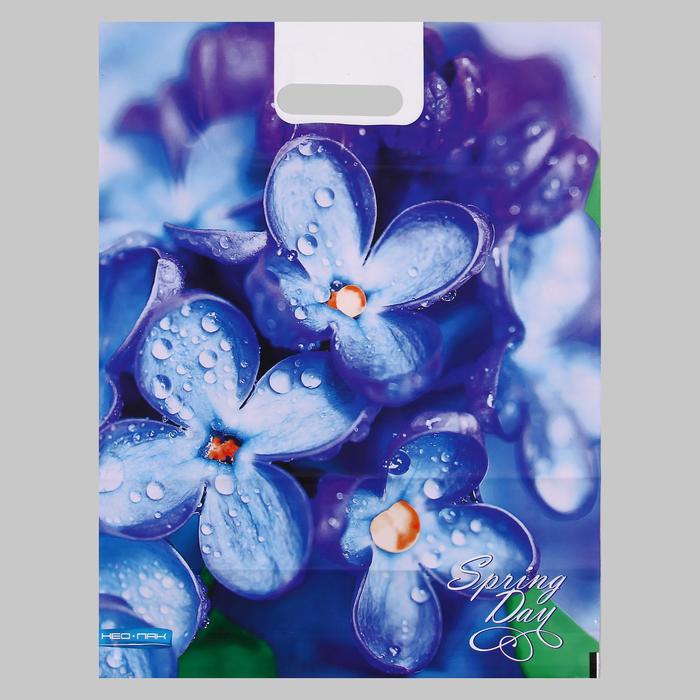 Пакет "Весенний день", полиэтиленовый с вырубной ручкой, 38х47 см, 60 мкм
Пакет "Весенний день", полиэтиленовый с вырубной ручкой, 38х47 см, 60 мкм