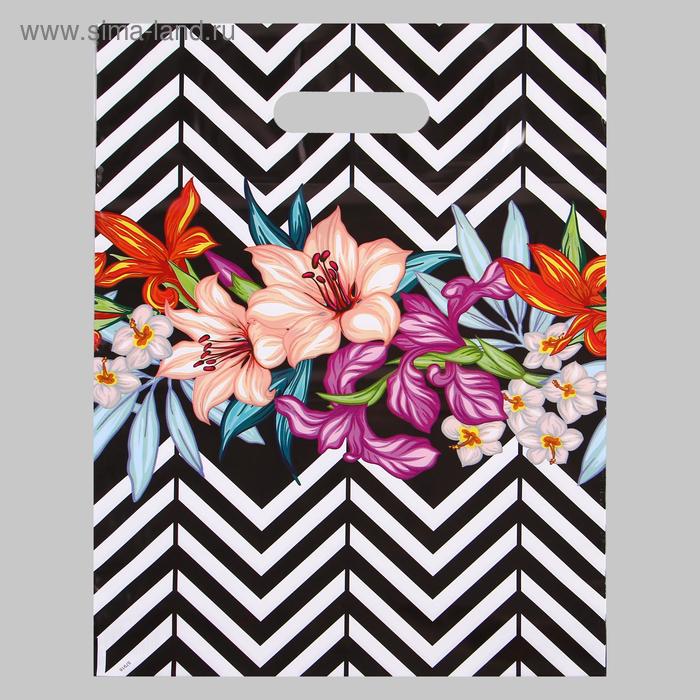 Пакет "Тропик", полиэтиленовый с вырубной ручкой, 30х40 см, 60 мкм
Пакет "Тропик", полиэтиленовый с вырубной ручкой, 30х40 см, 60 мкм