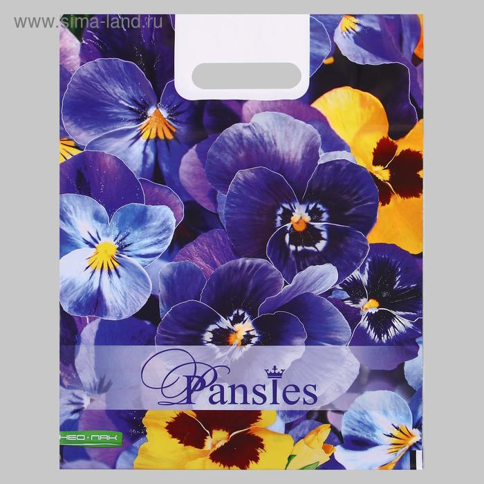 Пакет "Анютины глазки ", полиэтиленовый с вырубной ручкой, 30х40 см, 60 мкм
Пакет "Анютины глазки ", полиэтиленовый с вырубной ручкой, 30х40 см, 60 мкм